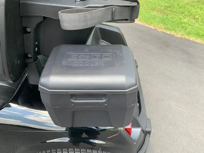 2020 E-Z-GO Fleet RXV ELiTE Golf Cart For Sale image 2