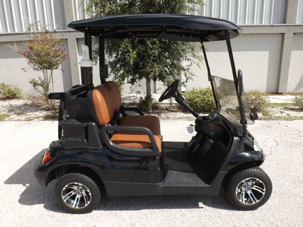 2022 Advanced EV AEV 2 Golf Cart for Sale image 2