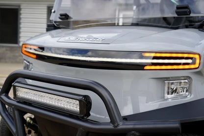 2024 Denago EV Nomad Golf Cart for Sale image 1